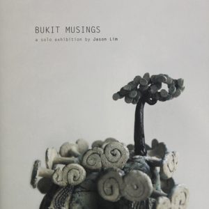 Jason Lim: Bukit Musings