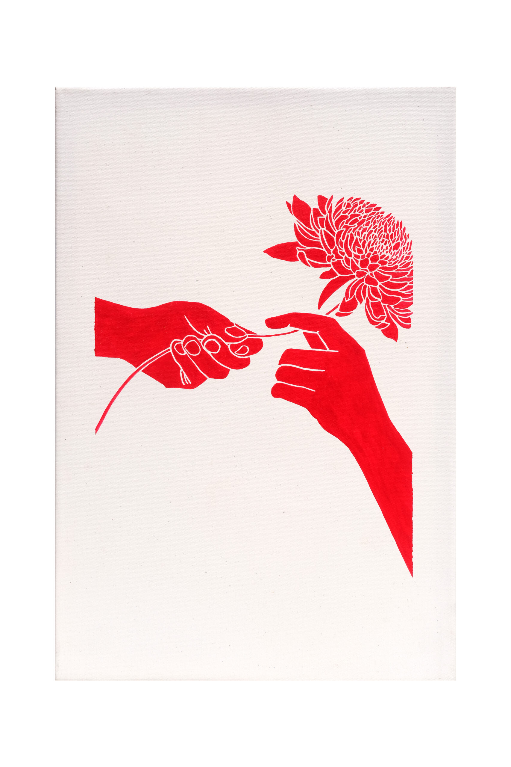 Agnes Christina: Right gift, wrong gift: chrysanthemum
